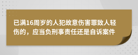 已满16周岁的人犯故意伤害罪致人轻伤的，应当负刑事责任还是自诉案件