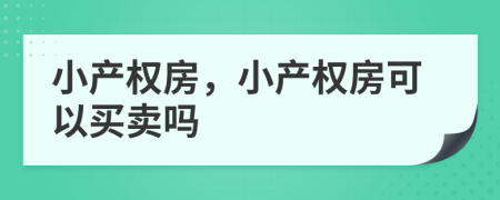 小产权房，小产权房可以买卖吗