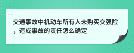 交通事故中机动车所有人未购买交强险，造成事故的责任怎么确定