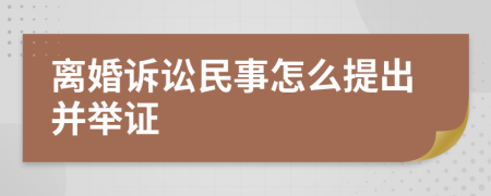 离婚诉讼民事怎么提出并举证