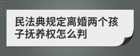 民法典规定离婚两个孩子抚养权怎么判