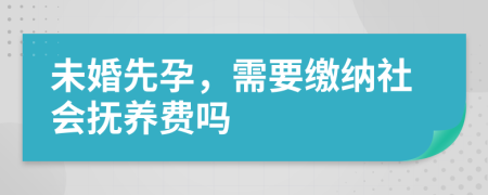 未婚先孕，需要缴纳社会抚养费吗