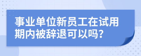 事业单位新员工在试用期内被辞退可以吗？