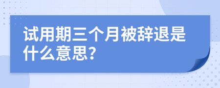 试用期三个月被辞退是什么意思？