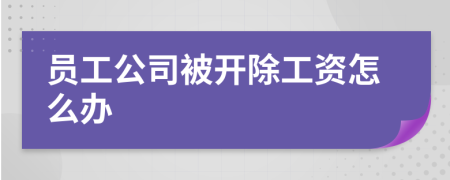 员工公司被开除工资怎么办