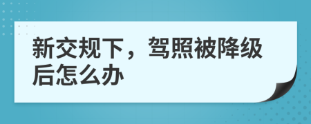 新交规下，驾照被降级后怎么办