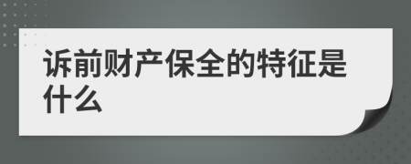 诉前财产保全的特征是什么