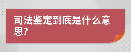 司法鉴定到底是什么意思？