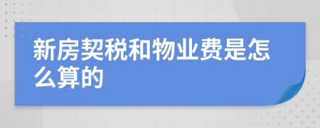 新房契税和物业费是怎么算的