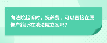 向法院起诉时，抚养费，可以直接在原告户籍所在地法院立案吗？