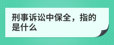 刑事诉讼中保全，指的是什么