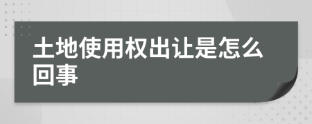 土地使用权出让是怎么回事