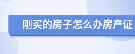 刚买的房子怎么办房产证