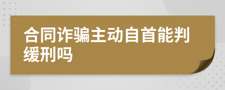 合同诈骗主动自首能判缓刑吗