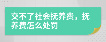 交不了社会抚养费，抚养费怎么处罚