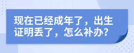 现在已经成年了，出生证明丢了，怎么补办？