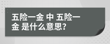  五险一金 中 五险一金 是什么意思？