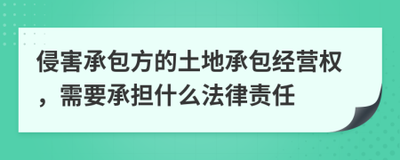 侵害承包方的土地承包经营权，需要承担什么法律责任