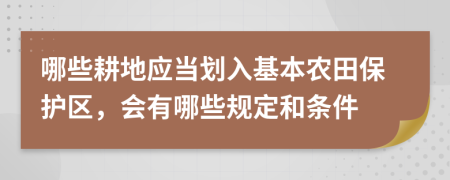 哪些耕地应当划入基本农田保护区，会有哪些规定和条件