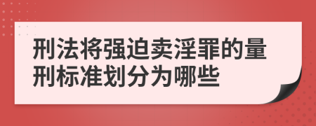 刑法将强迫卖淫罪的量刑标准划分为哪些