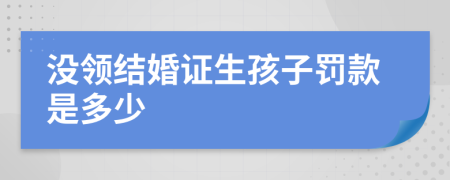 没领结婚证生孩子罚款是多少