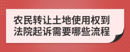 农民转让土地使用权到法院起诉需要哪些流程