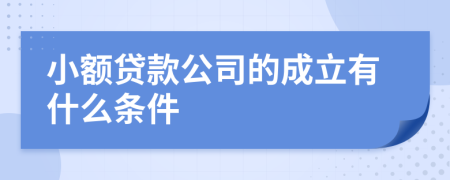 小额贷款公司的成立有什么条件