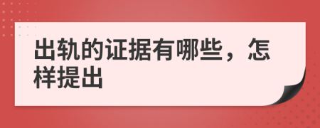 出轨的证据有哪些，怎样提出