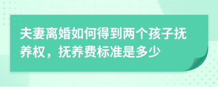 夫妻离婚如何得到两个孩子抚养权，抚养费标准是多少