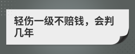 轻伤一级不赔钱，会判几年