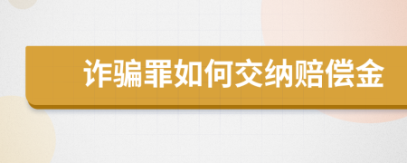 诈骗罪如何交纳赔偿金