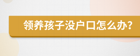 领养孩子没户口怎么办？