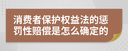 消费者保护权益法的惩罚性赔偿是怎么确定的