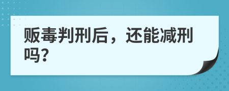 贩毒判刑后，还能减刑吗？