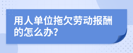用人单位拖欠劳动报酬的怎么办？