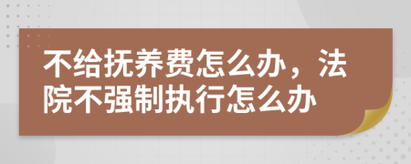 不给抚养费怎么办，法院不强制执行怎么办