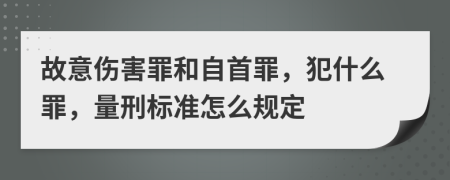 故意伤害罪和自首罪，犯什么罪，量刑标准怎么规定