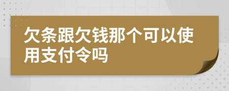 欠条跟欠钱那个可以使用支付令吗