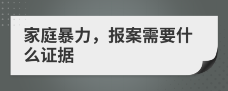 家庭暴力，报案需要什么证据