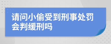 请问小偷受到刑事处罚会判缓刑吗