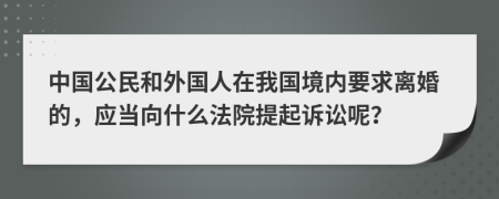 中国公民和外国人在我国境内要求离婚的，应当向什么法院提起诉讼呢？