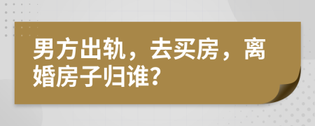 男方出轨，去买房，离婚房子归谁？