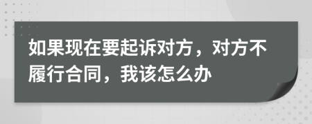 如果现在要起诉对方，对方不履行合同，我该怎么办