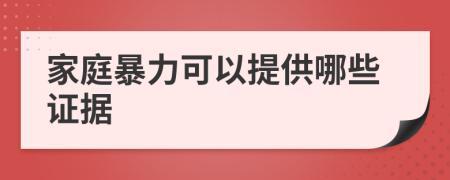 家庭暴力可以提供哪些证据