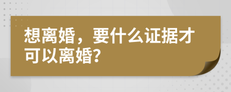 想离婚，要什么证据才可以离婚？