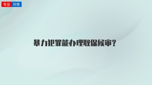 暴力犯罪能办理取保候审？