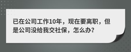 已在公司工作10年，现在要离职，但是公司没给我交社保，怎么办？