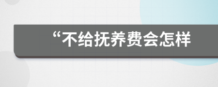 “不给抚养费会怎样