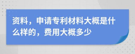 资料，申请专利材料大概是什么样的，费用大概多少