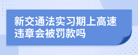 新交通法实习期上高速违章会被罚款吗